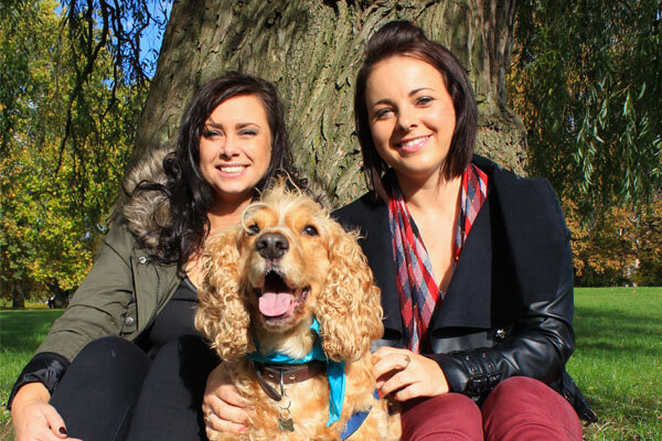 BorrowMyDoggy dog boarding BorrowMyDoggy dog boarding