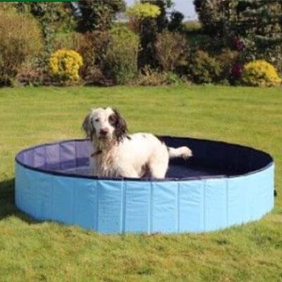 Text to speech not available for this image