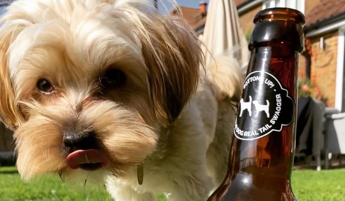 Dog Friendly Cambridge Pubs