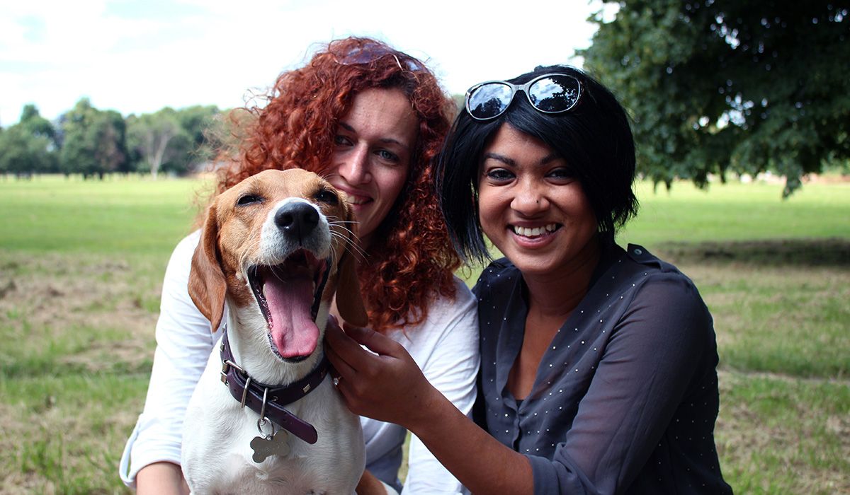 Two people and a dog are in a park on a warm day. 