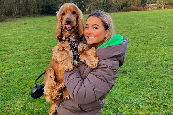 Henry, the cocker spaniel